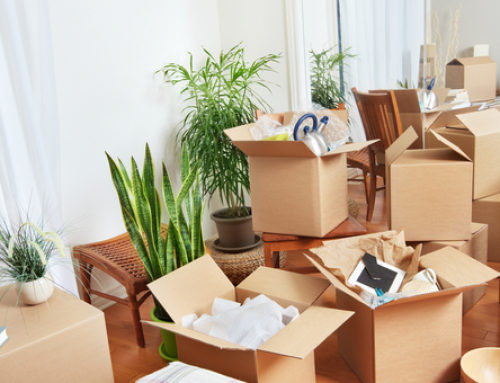 Packers and Movers Company in Gorakhpur